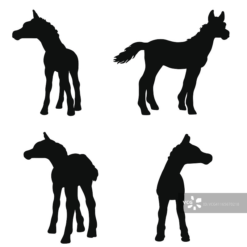 小马驹轮廓图片素材