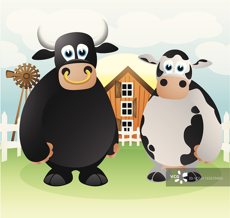 农场里的公牛和母牛图片素材