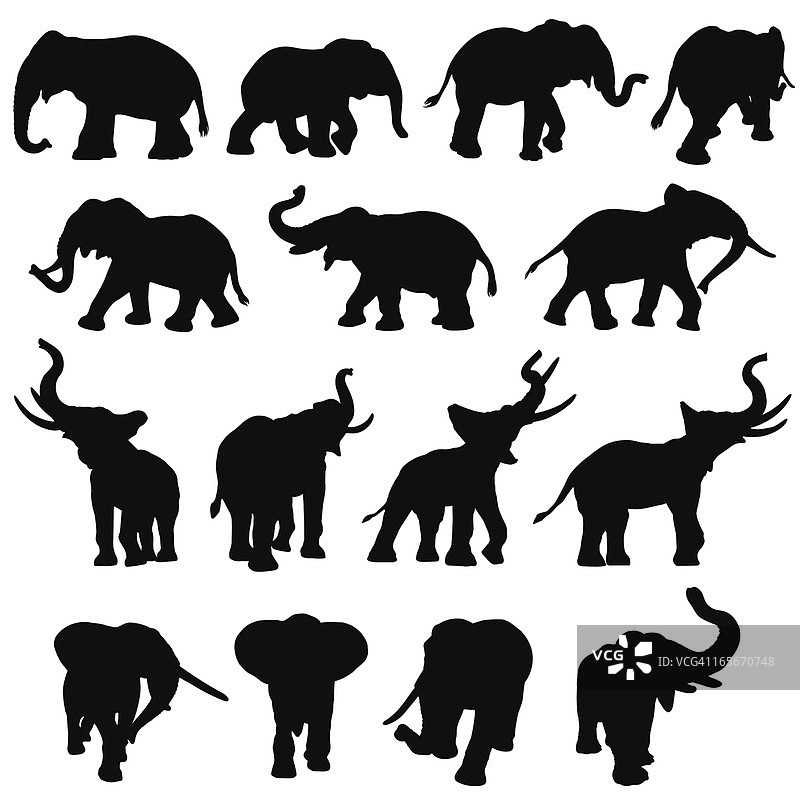 大象剪影合集图片素材