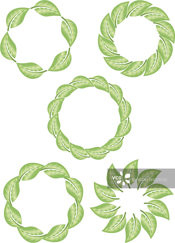 更多树叶圈图片素材