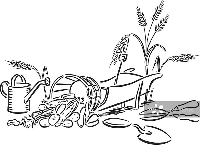 园艺工具与丰收蔬菜及浇水壶图片素材