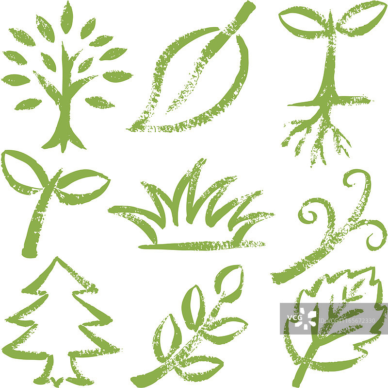 手绘植物图片素材