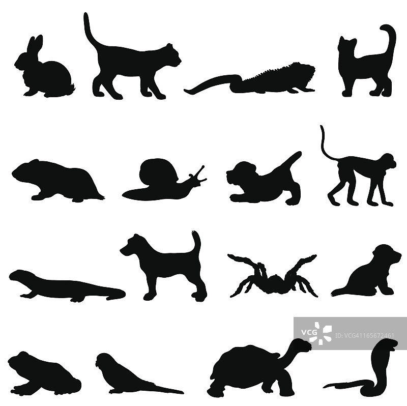 宠物轮廓剪影合集图片素材