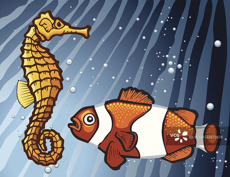 海马和小丑鱼图片素材