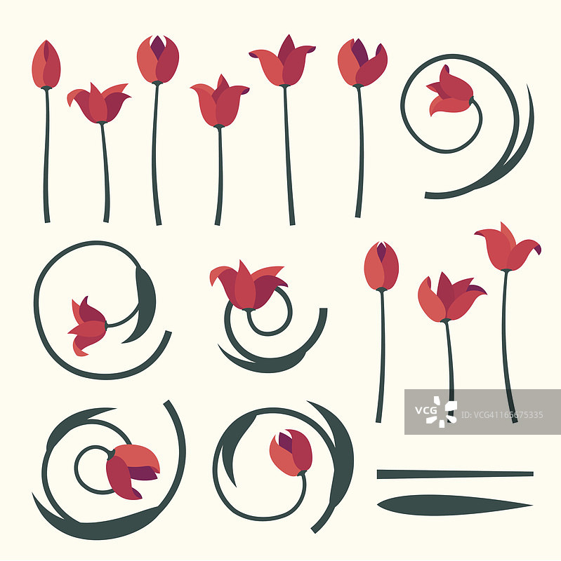 春天郁金香合集图片素材