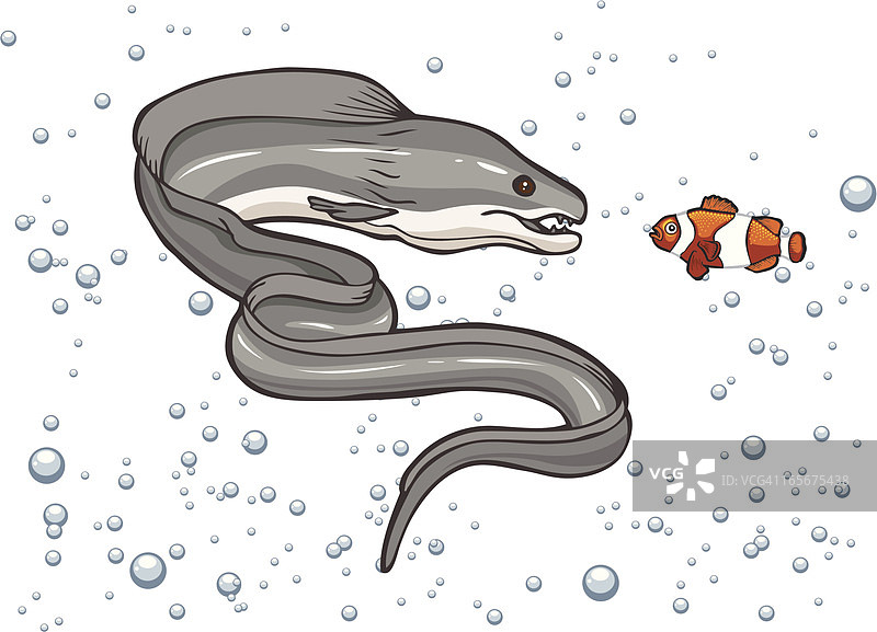 鳗鱼和小丑鱼图片素材