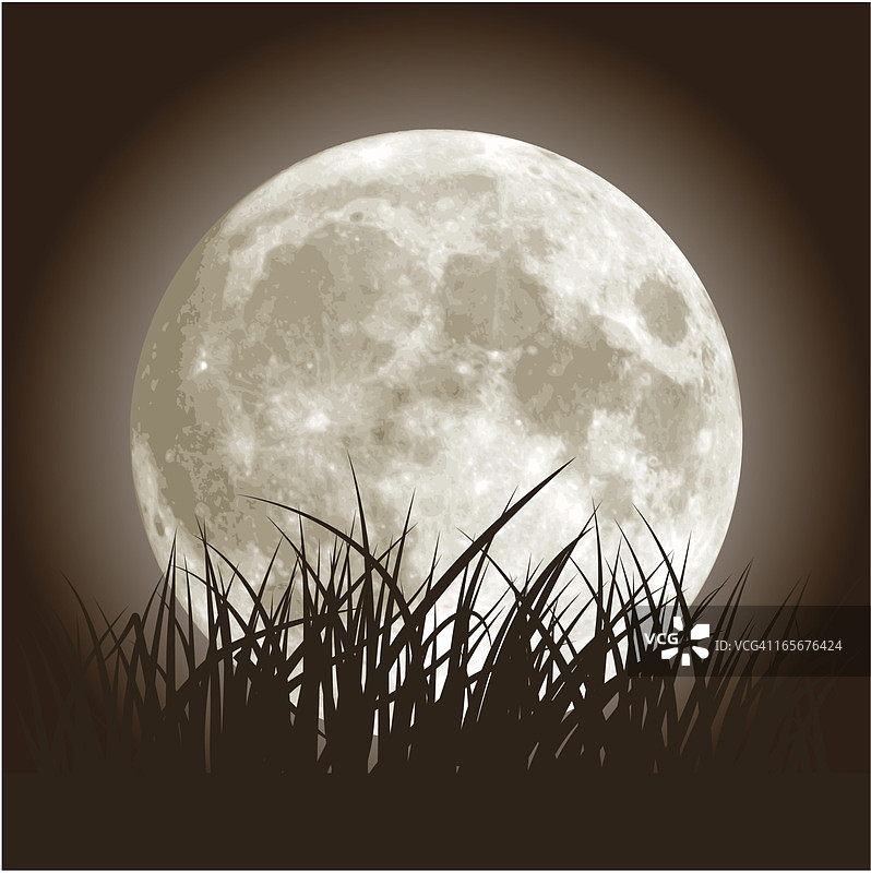 满月和草地图片素材