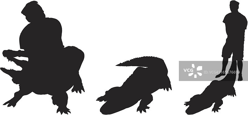 鳄鱼驯兽师图片素材