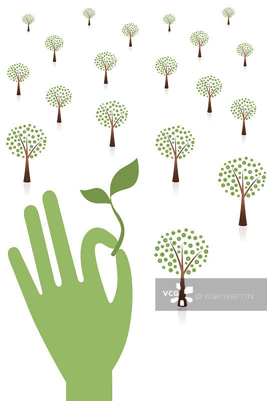 绿色树木幼苗，手部呵护可持续发展图片素材