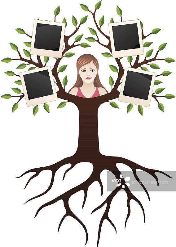 我的家谱树图片素材