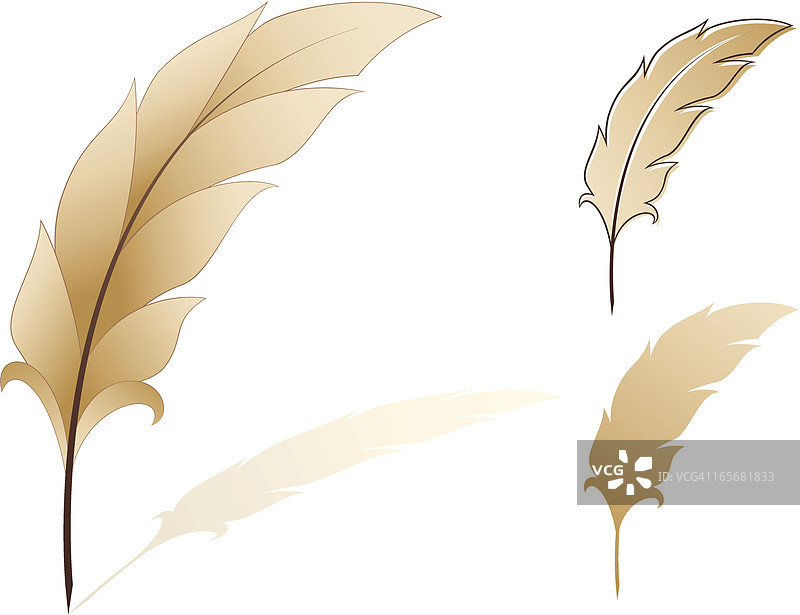 羽毛合集图片素材