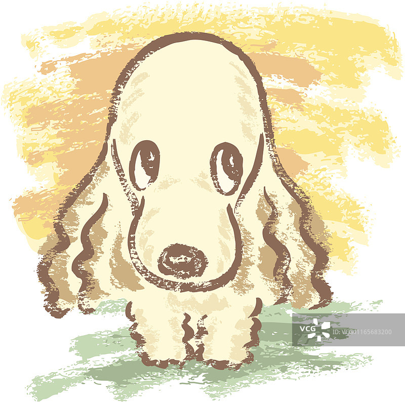 可爱的小狗图片素材