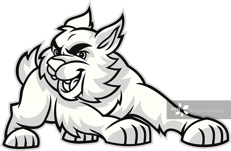 野猫吉祥物图片素材