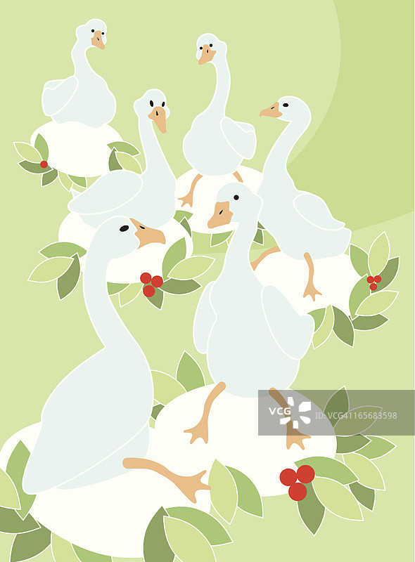 下蛋的六只鹅图片素材