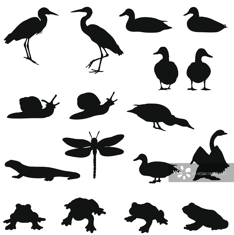 池塘生物剪影图片素材