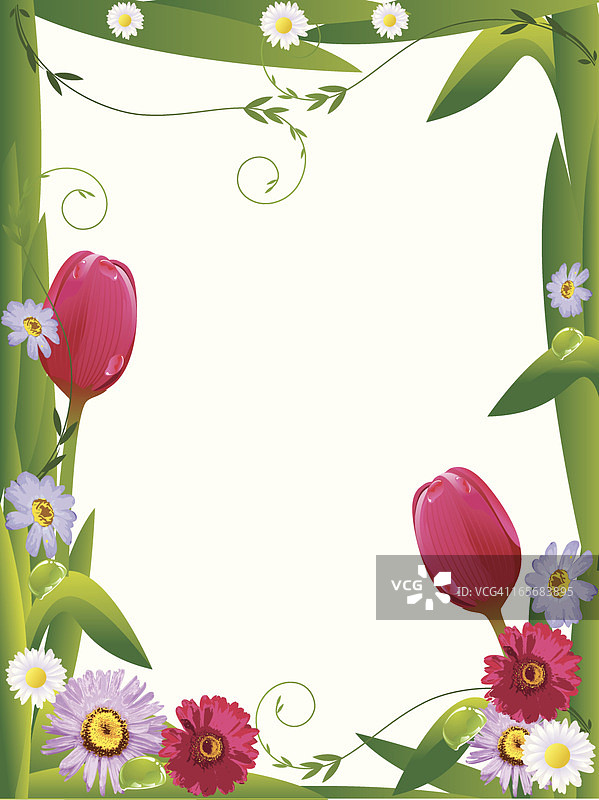 美丽的花卉框架图片素材