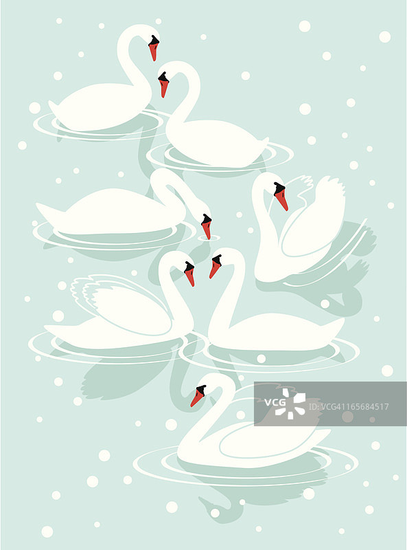 七只游泳的天鹅图片素材
