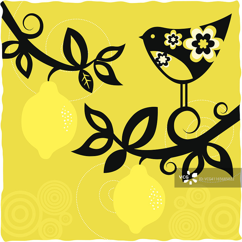 鸟类与水果（系列）图片素材