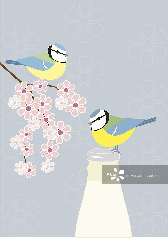 调皮的蓝山雀图片素材