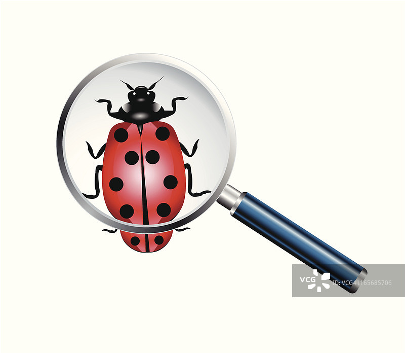 昆虫与放大镜镜头矢量图图片素材