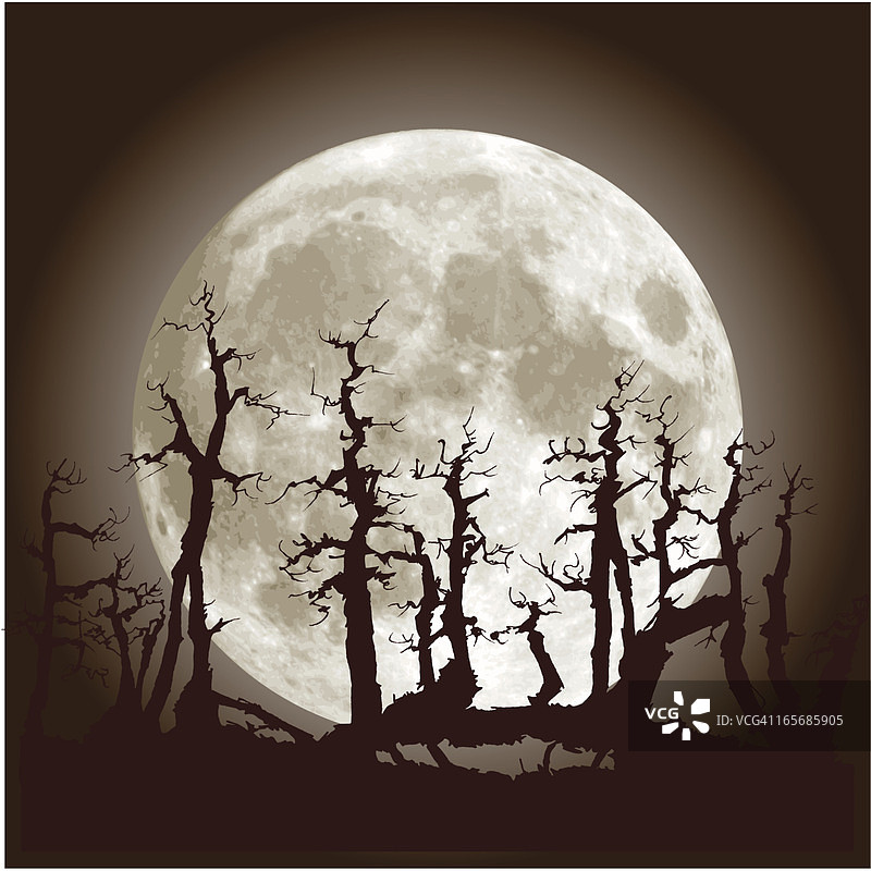 森林和月亮图片素材