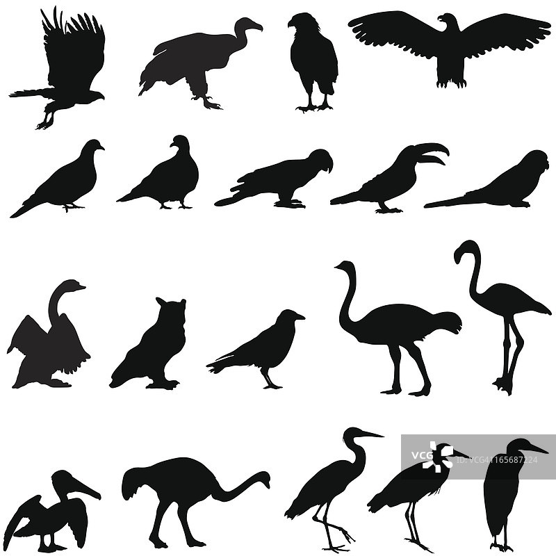 鸟类剪影合集图片素材