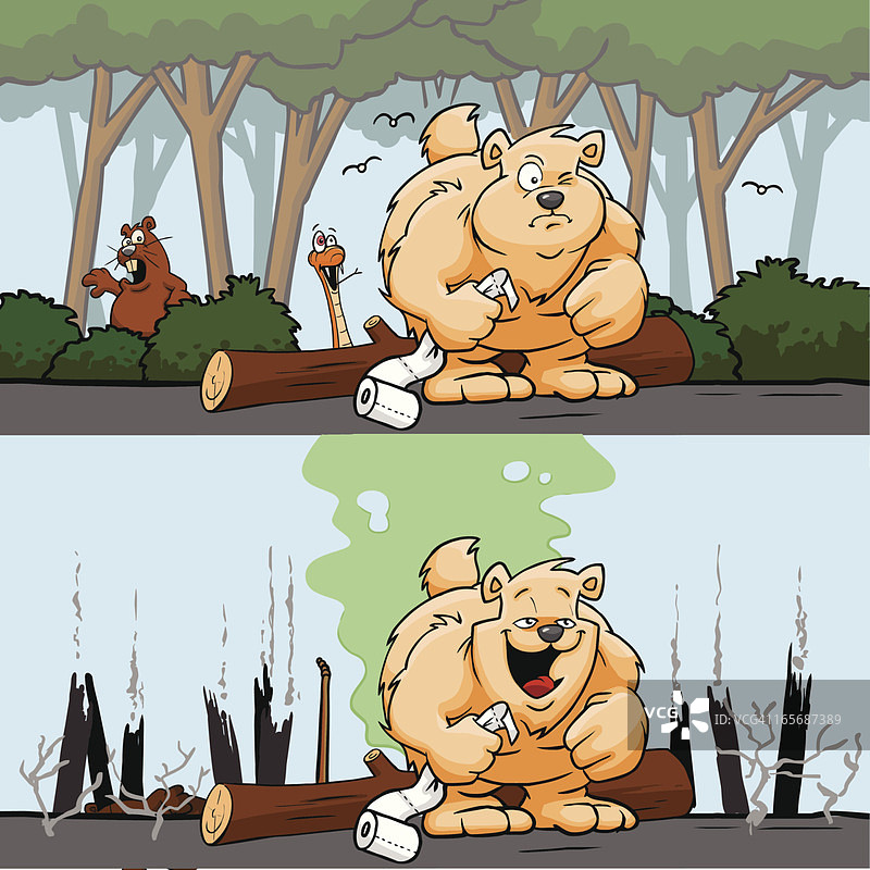 森林里的熊图片素材