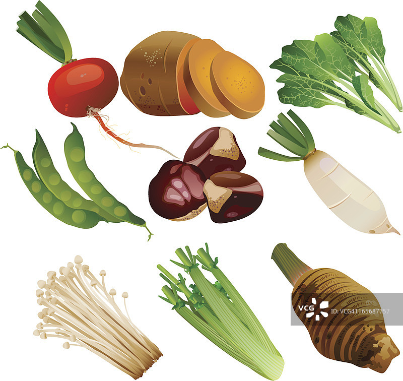 各种蔬菜插画图片素材