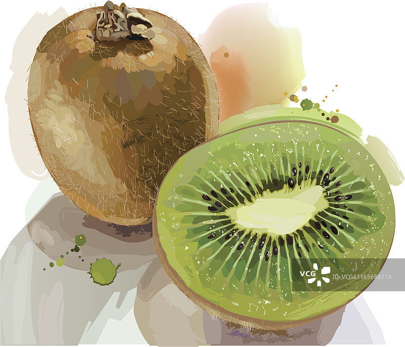 猕猴桃图片素材