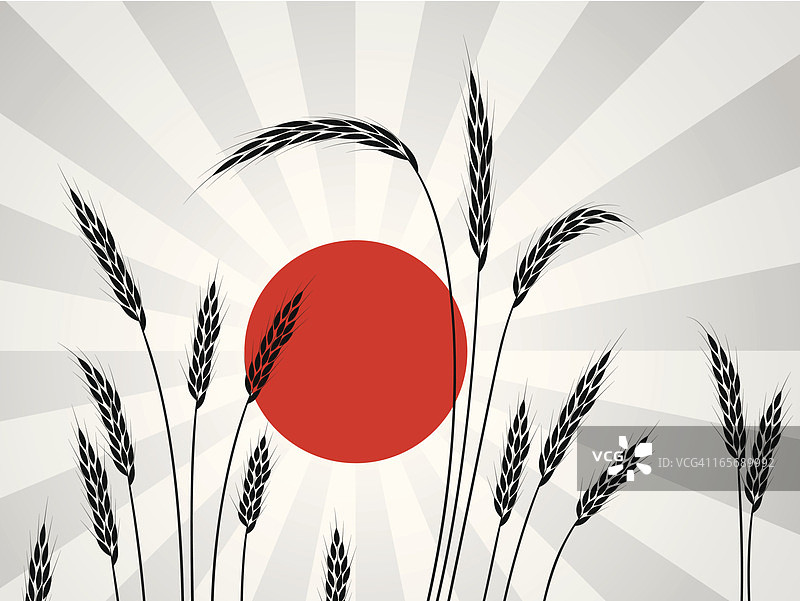 麦田与秋日日落图片素材