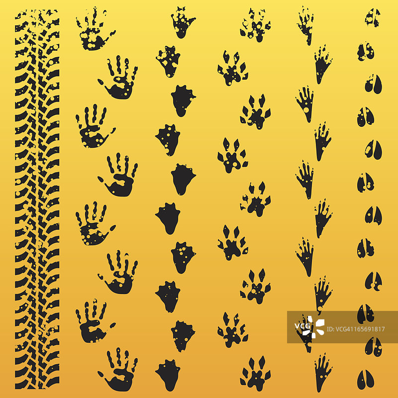 Grunge风格动物足迹演变图片素材