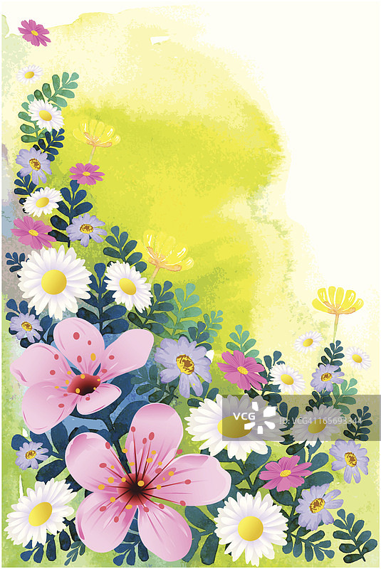 美丽的花朵图片素材