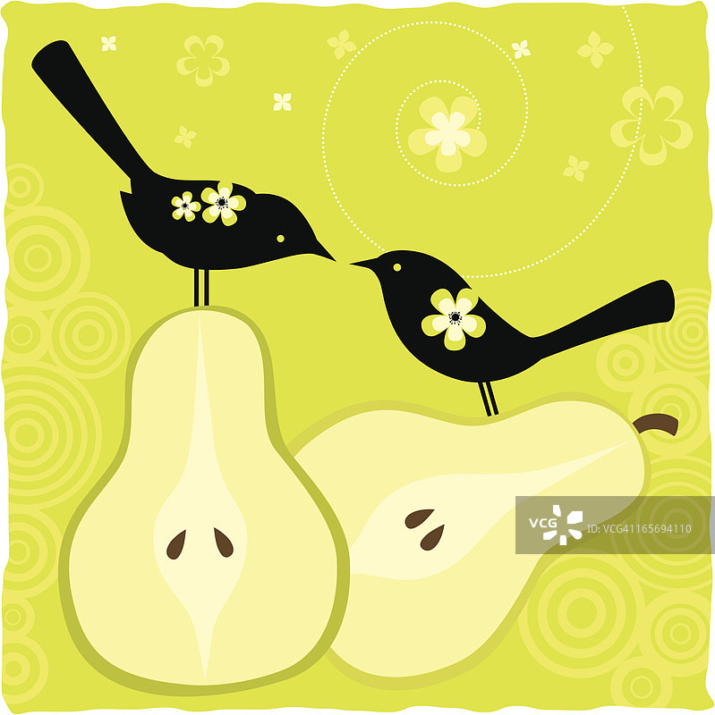 鸟类与水果（系列）图片素材