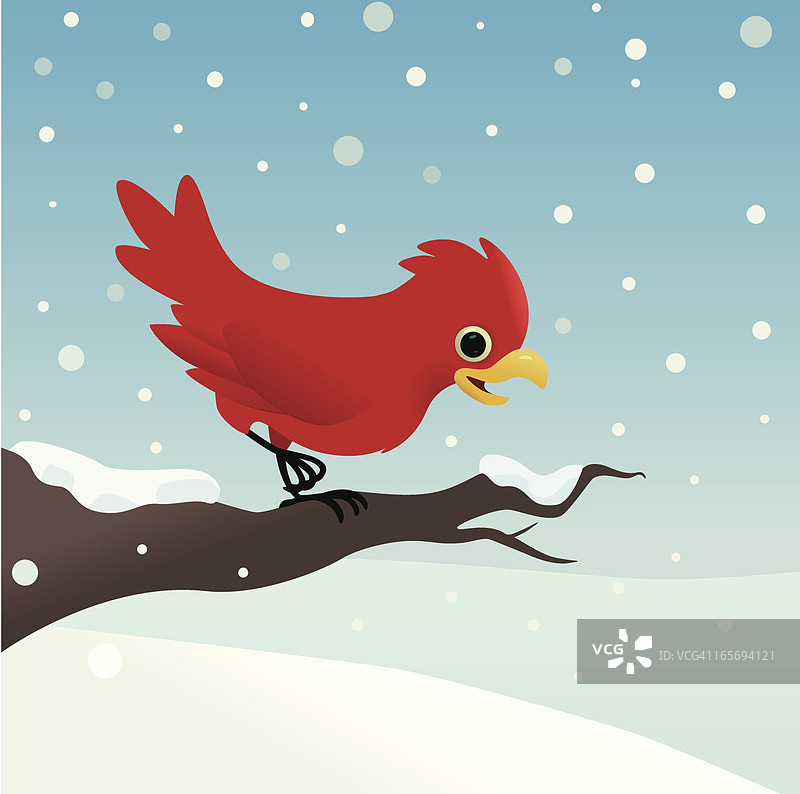 雪中的红鸟图片素材
