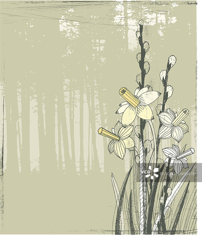 林地背景上的水仙花和柳树图片素材