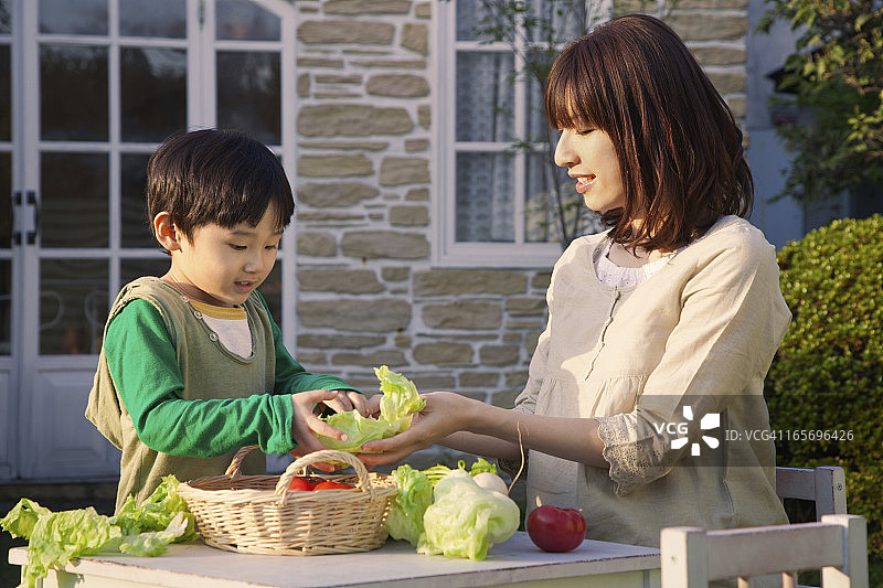 日本妈妈和儿子在花园里种植有机蔬菜图片素材