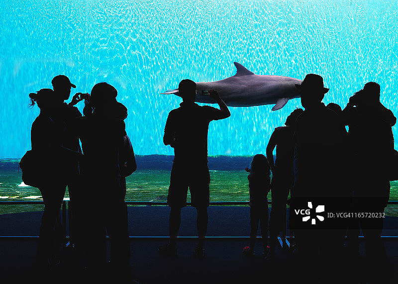 水族箱彩色照片图片素材