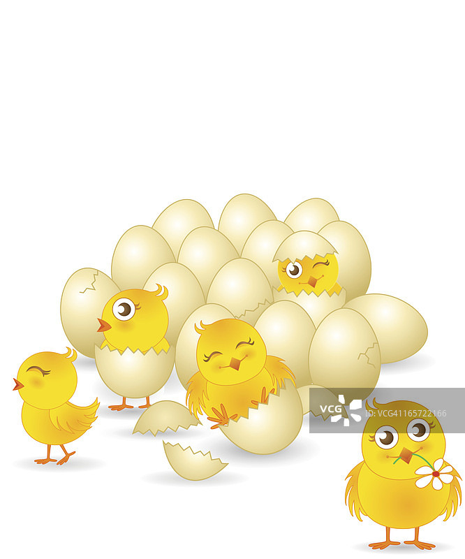 可爱的小鸡图片素材