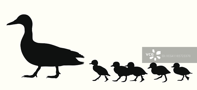 小鸭子矢量剪影图片素材