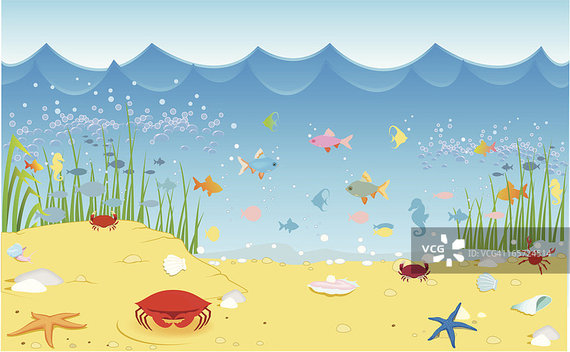 海洋生物图片素材