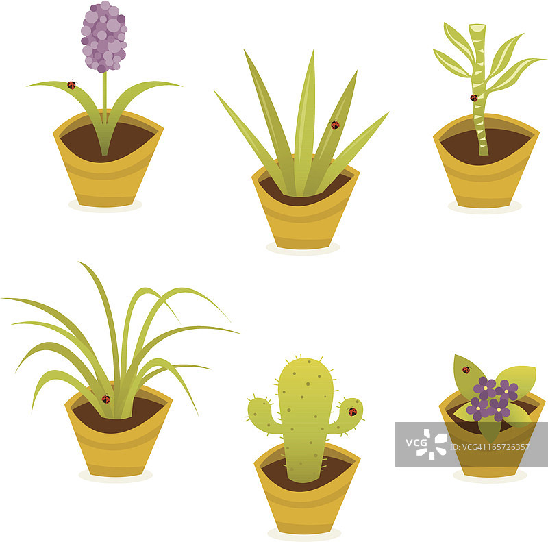 室内植物套装图片素材