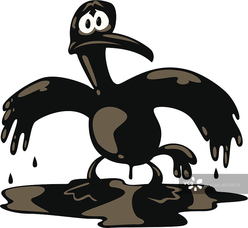 羽毛油腻的鸟图片素材