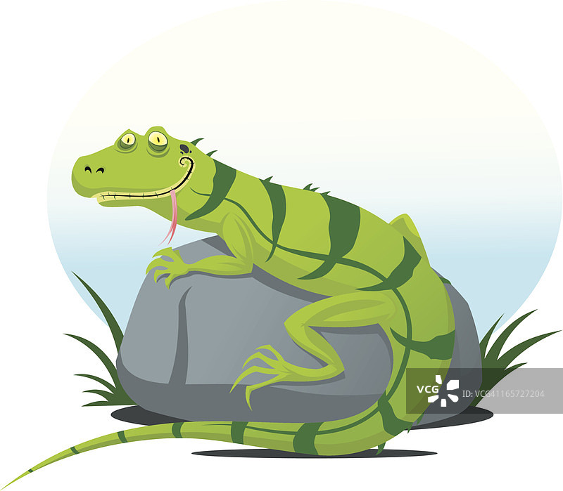 蜥蜴图片素材