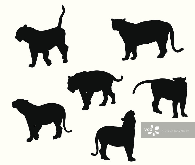 老虎剪影矢量素材图片素材