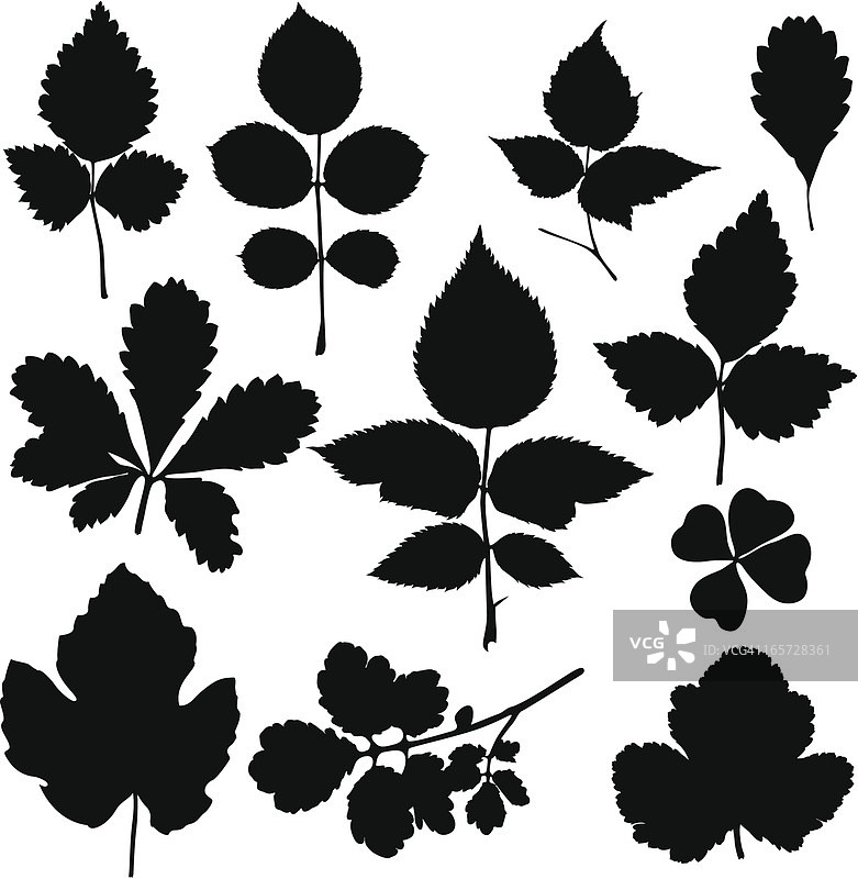 各种树叶黑色剪影图片素材