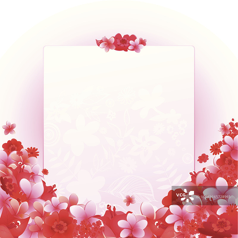 花卉图案明信片图片素材