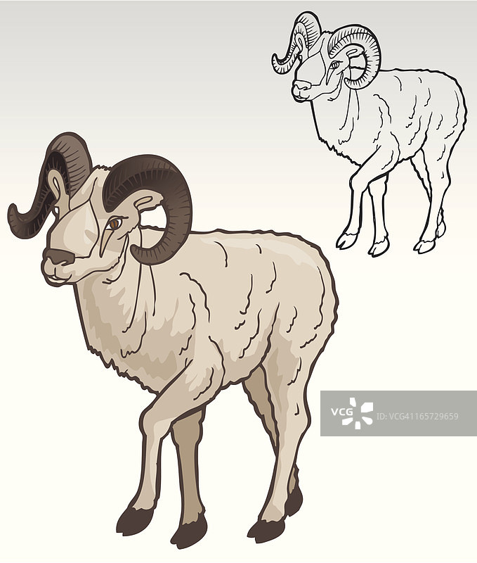 十二生肖羊图片素材