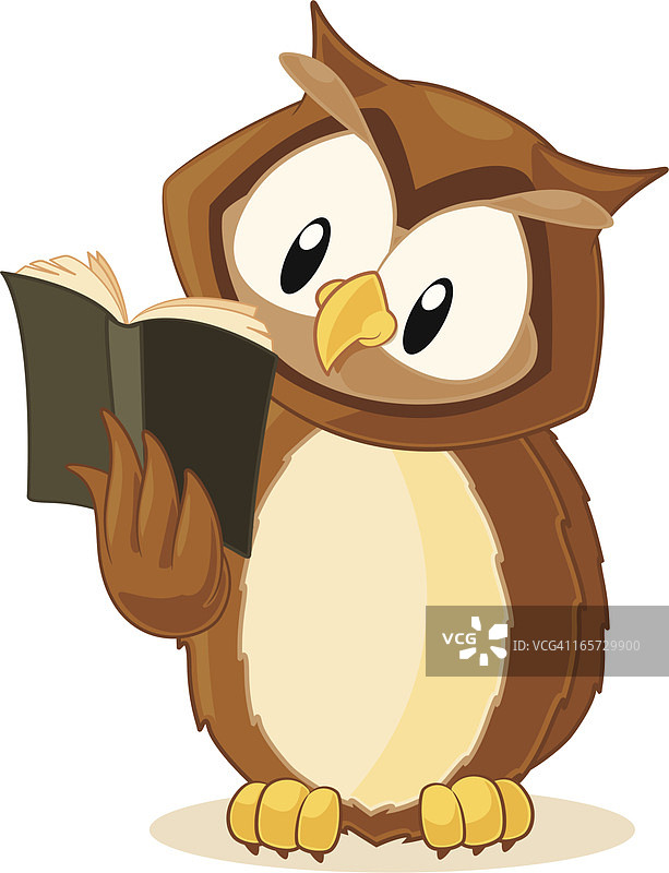 正在读书的猫头鹰图片素材