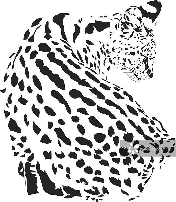 黑色线条薮猫插画图片素材