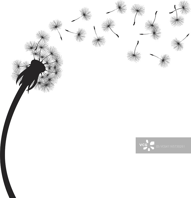 蒲公英图片素材